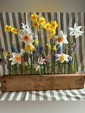 Antique Vintage Cigar Box Single Flower Vase